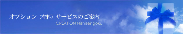 クレアシオン西千石のオプション（有料）サービス